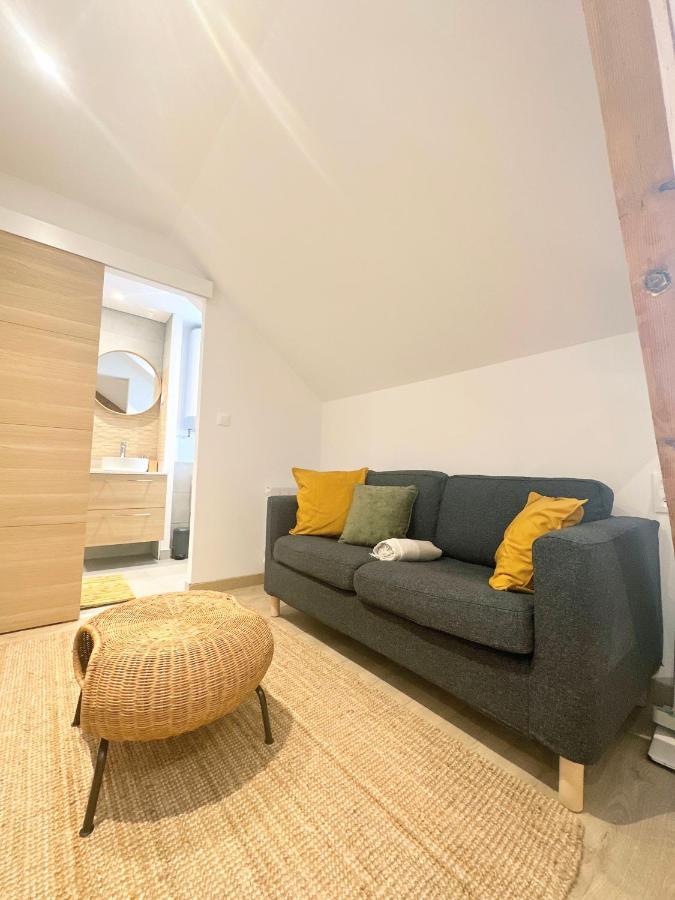 Sacre Appartement/Jardin/Parking/Wifi Rodez Luaran gambar