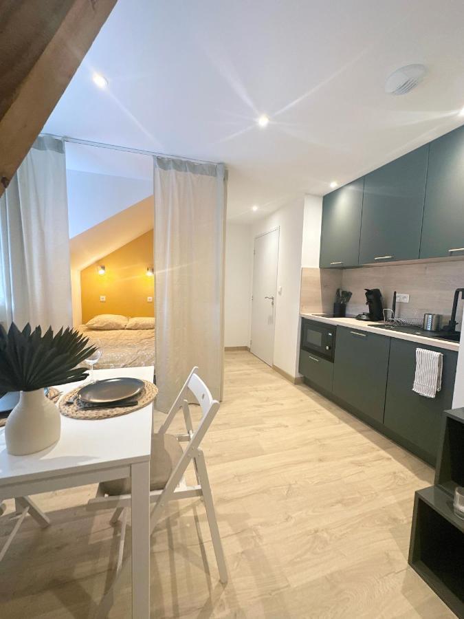 Sacre Appartement/Jardin/Parking/Wifi Rodez Luaran gambar