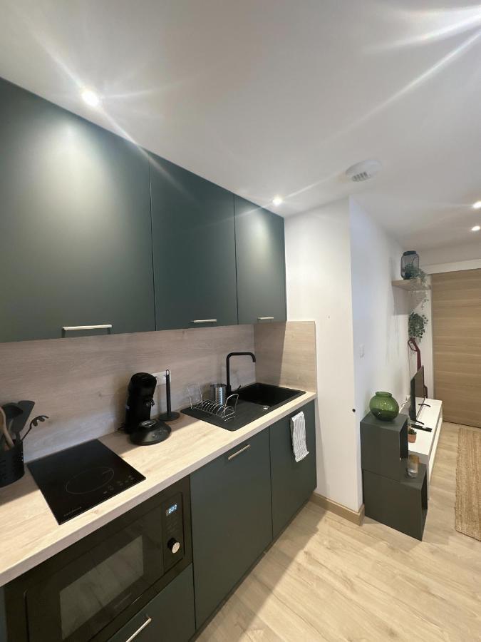 Sacre Appartement/Jardin/Parking/Wifi Rodez Luaran gambar